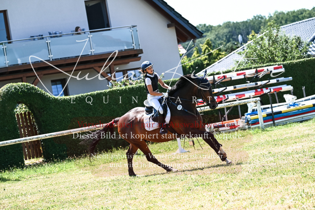 DSC_0525 | Pferde- und Turnierfotografie in Westsachsen. Pferdeportraits, Auftragszeichnungen und intuitive Kunst.