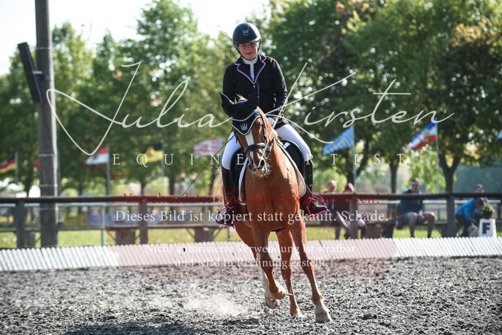 DSC_8438 | Pferde- und Turnierfotografie in Westsachsen. Pferdeportraits, Auftragszeichnungen und intuitive Kunst.