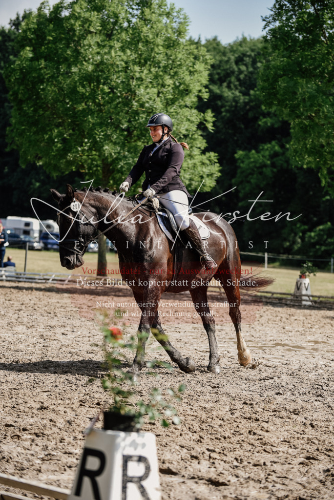 DSC_0180 | Pferde- und Turnierfotografie in Westsachsen. Pferdeportraits, Auftragszeichnungen und intuitive Kunst.