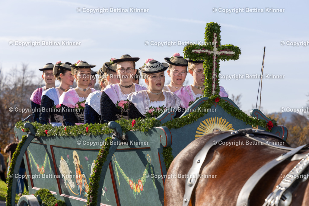LBT24-1278 | foto-bettina-krinner - Realisiert mit Pictrs.com