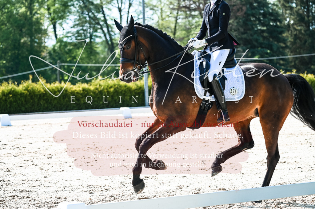 20230513_JK-Röhrsdorf-10-0241 | Pferde- und Turnierfotografie in Westsachsen. Pferdeportraits, Auftragszeichnungen und intuitive Kunst.