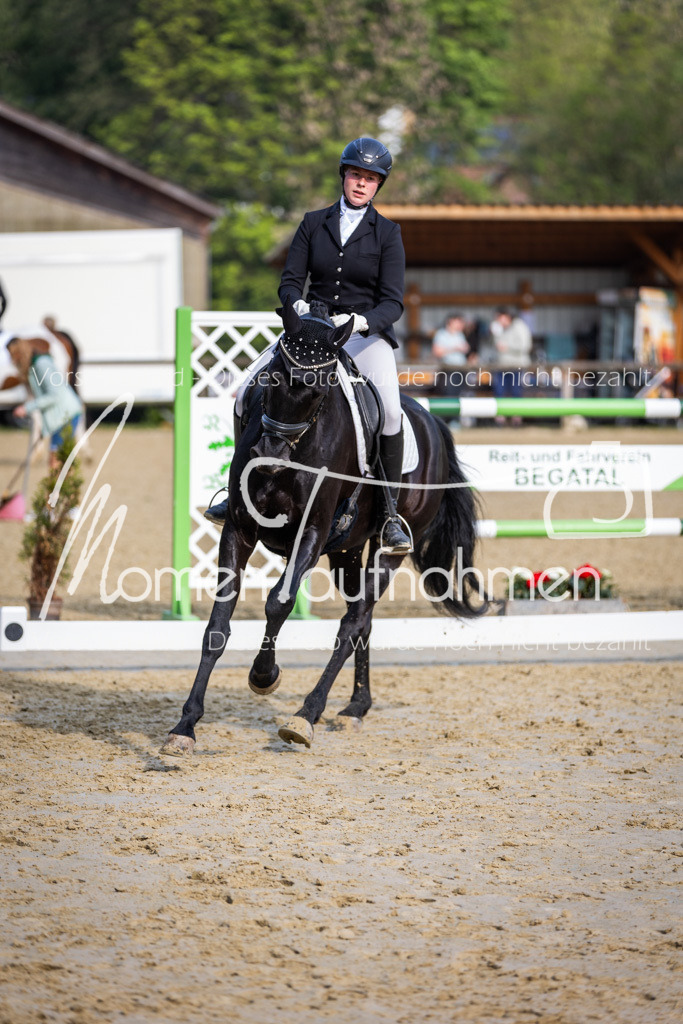 Donop24-A-Dre-087 | MomenTaufnahmen Pferdesportfotos