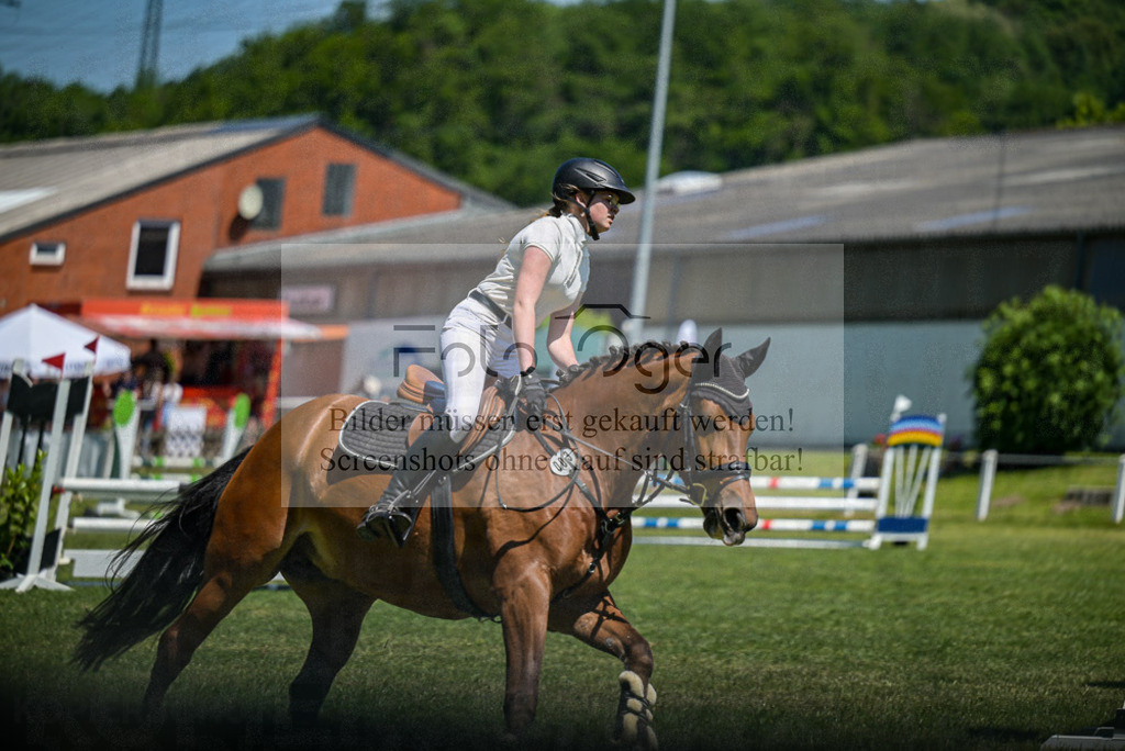 Reitturnier Voxtrup | Entdecke hochwertige Reitturnierfotos von Foto Oger. Professionell, emotional und authentisch – jetzt Lieblingsmomente im Shop bestellen. - Realisiert mit Pictrs.com
