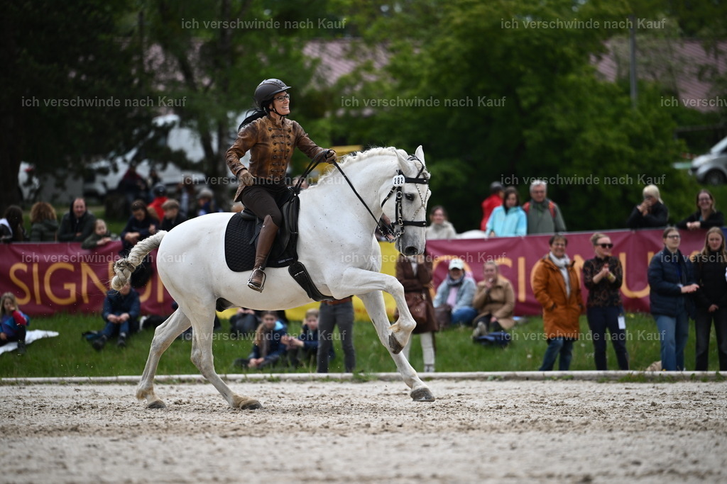 PI26_SP_Sara_Landvogt_226_5157.JPG | working equitationturnier fotograf videograf stoibphotography marixx film working equitation deutschland reitsport turnierfotografie eventfotografie equestrian events