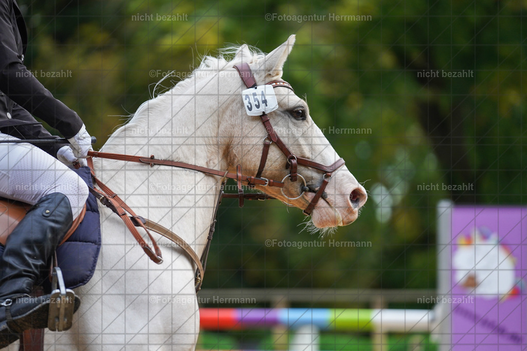 20221009-FAH08310 | Diessen am Ammersee, 2022, Dressur- und Springturnier, Reitsportbilder, Turnierfotografen Bayern, Pferdefotografen, Fotoagentur Herrmann, Turnierbilder