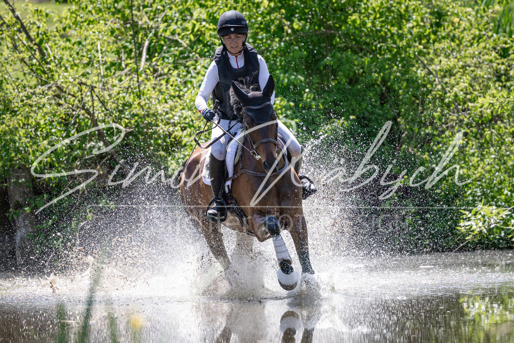 20260523-_3LI7878 | Tierfotografie Pferde, Hunde, Katzen, Haustiere.
Turnierfotografie Reitturniere, Reiten, Springreiten, Dressur in Hanau, dem Main-Kinzig-Kreis und dem Rhein-Main- Gebiet um Frankfurt
