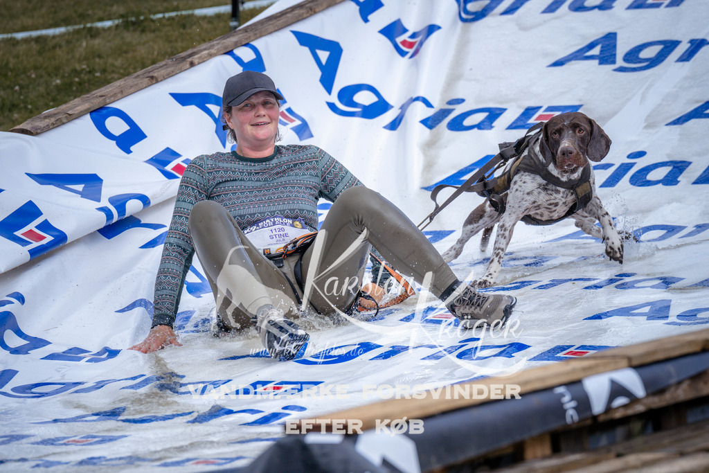 _ZZ908720909 | kk-dogfotos