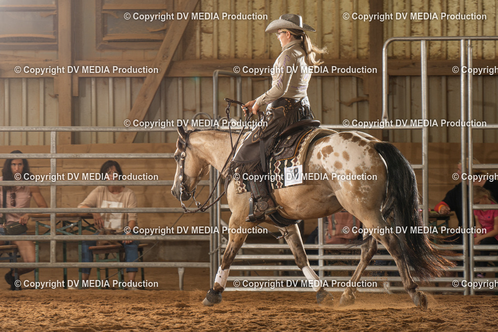 NID01657 | dv-media-shop - Realisiert mit Pictrs.com