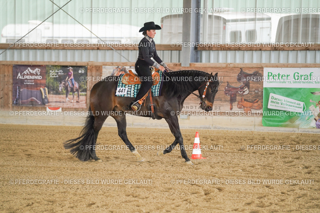 DSC09952 | Pferdegrafie