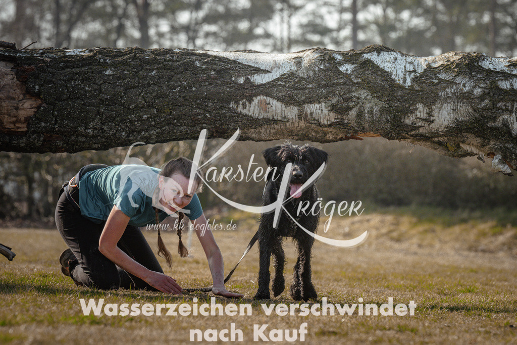 1017_ZZ92325 | kk-dogfotos