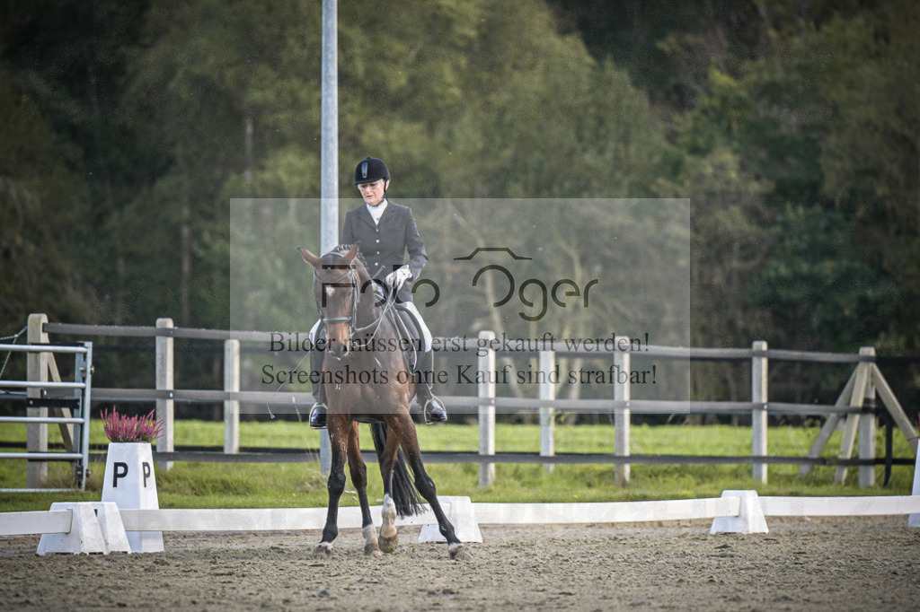 DOS_0570 | Entdecke hochwertige Reitturnierfotos von Foto Oger. Professionell, emotional und authentisch – jetzt Lieblingsmomente im Shop bestellen.Deutschlandweite Turnierfotografie. - Realisiert mit Pictrs.com