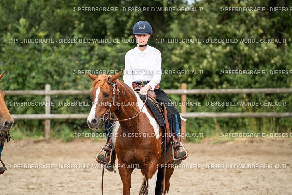 DSC04006 | Pferdegrafie