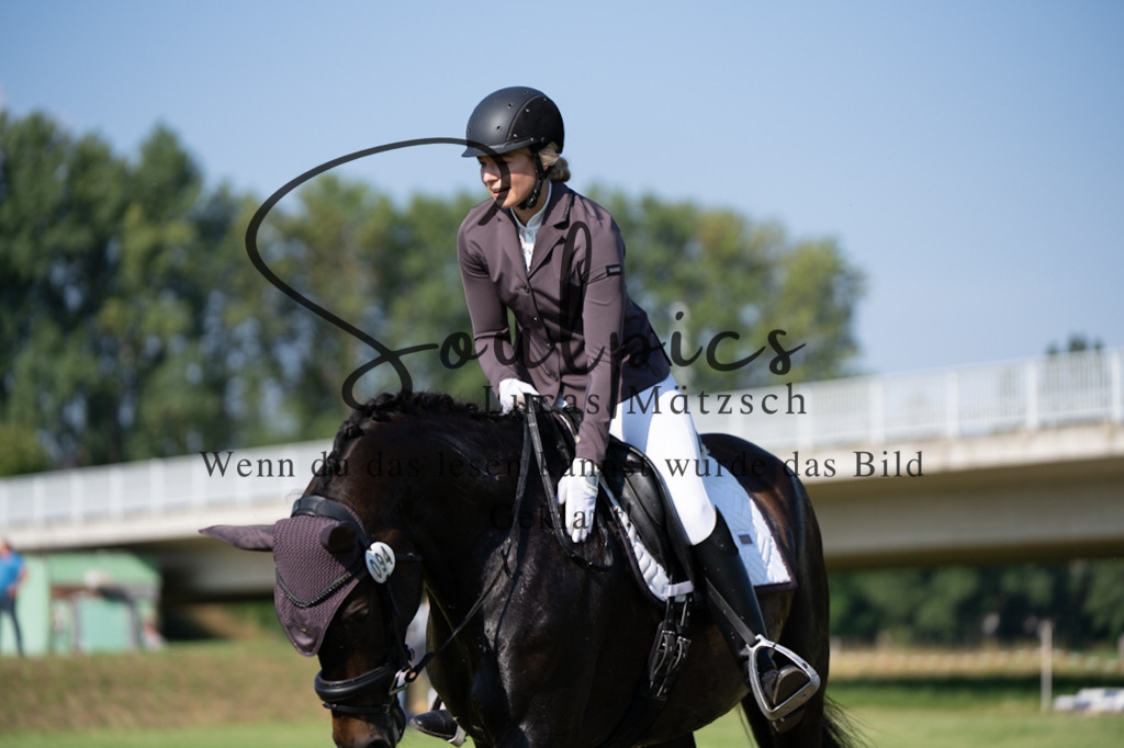 A7V09389 | Pferdefotograf