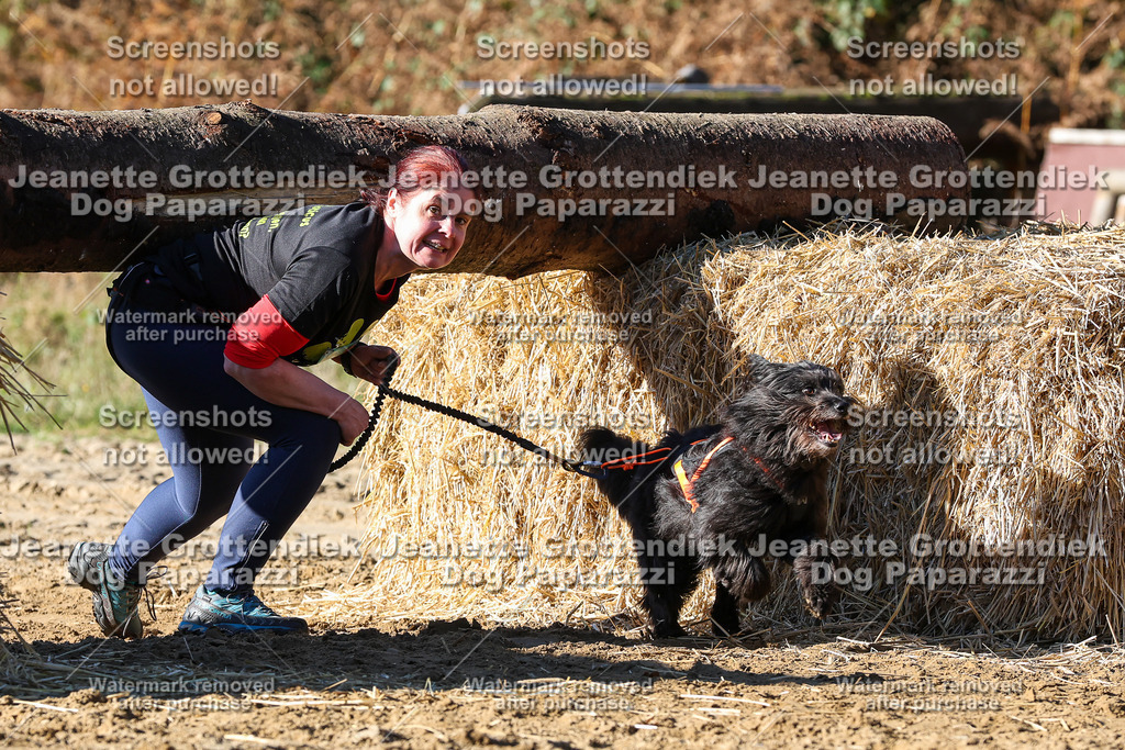 Dog Paparazzi - Strongdog 10-25-2259 | Dog Paparazzi Jeanette Grottendiek Fotografie & Videografie - Realisiert mit Pictrs.com