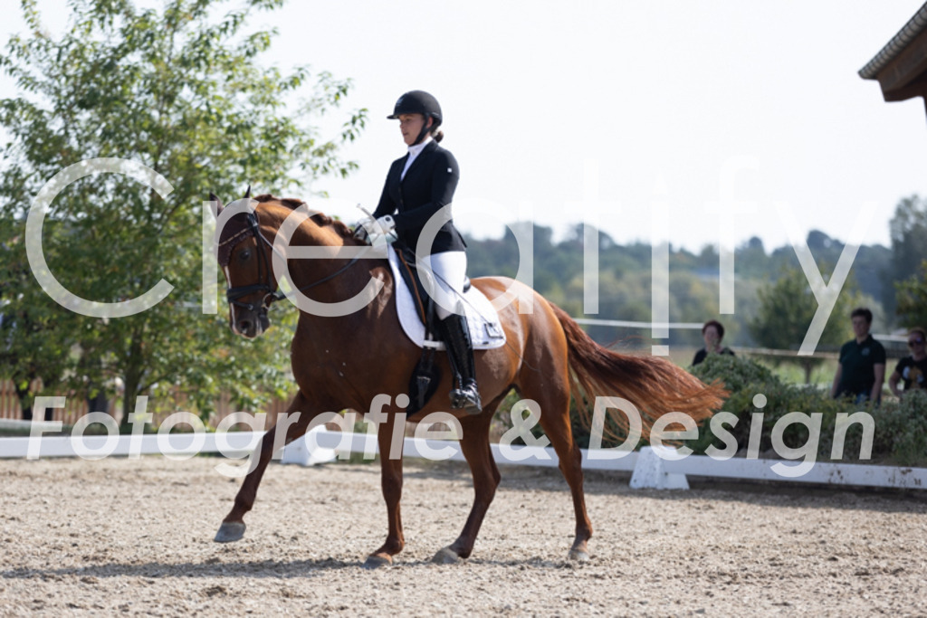 IMG_3484 | Creatify Fotografie