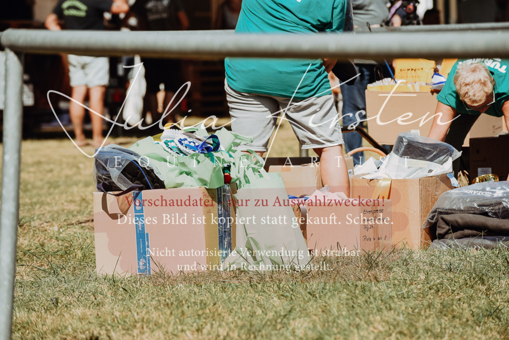 DSC_6212 | Pferde- und Turnierfotografie in Westsachsen. Pferdeportraits, Auftragszeichnungen und intuitive Kunst.