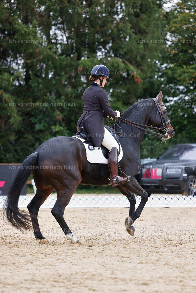 07-191-DRESSUR  S___  -StoibPH-4999 | working equitationturnier fotograf videograf stoibphotography marixx film working equitation deutschland reitsport turnierfotografie eventfotografie equestrian events