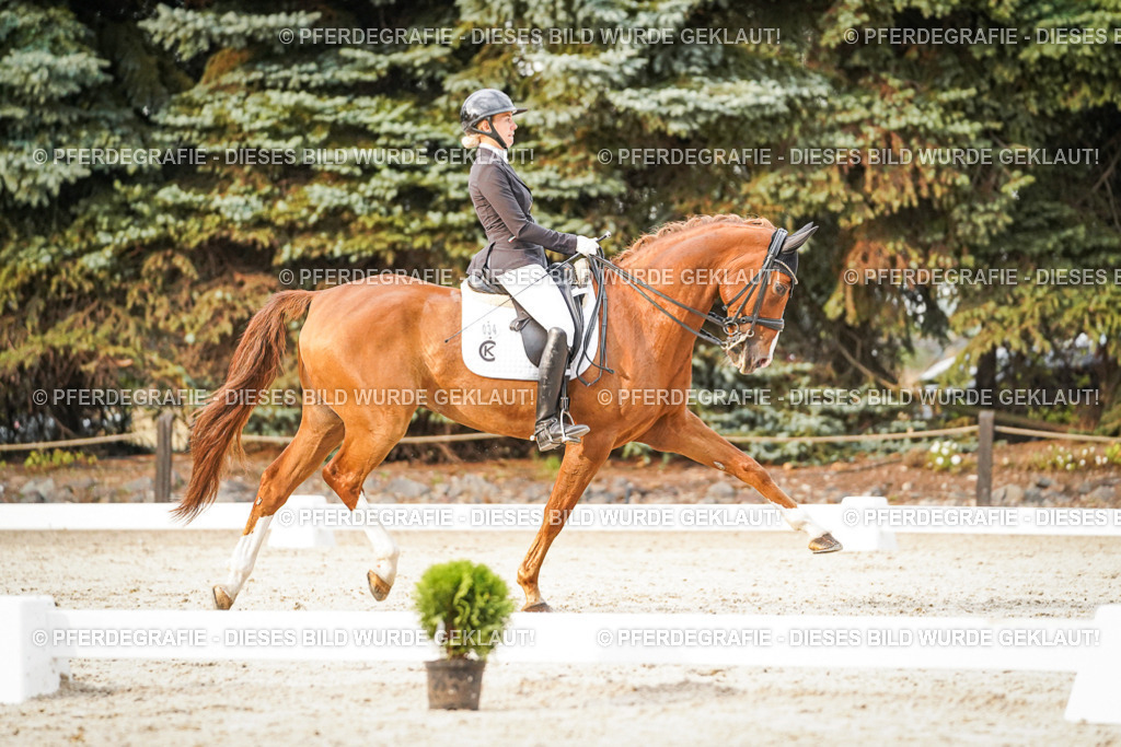 DSC09334 | Pferdegrafie