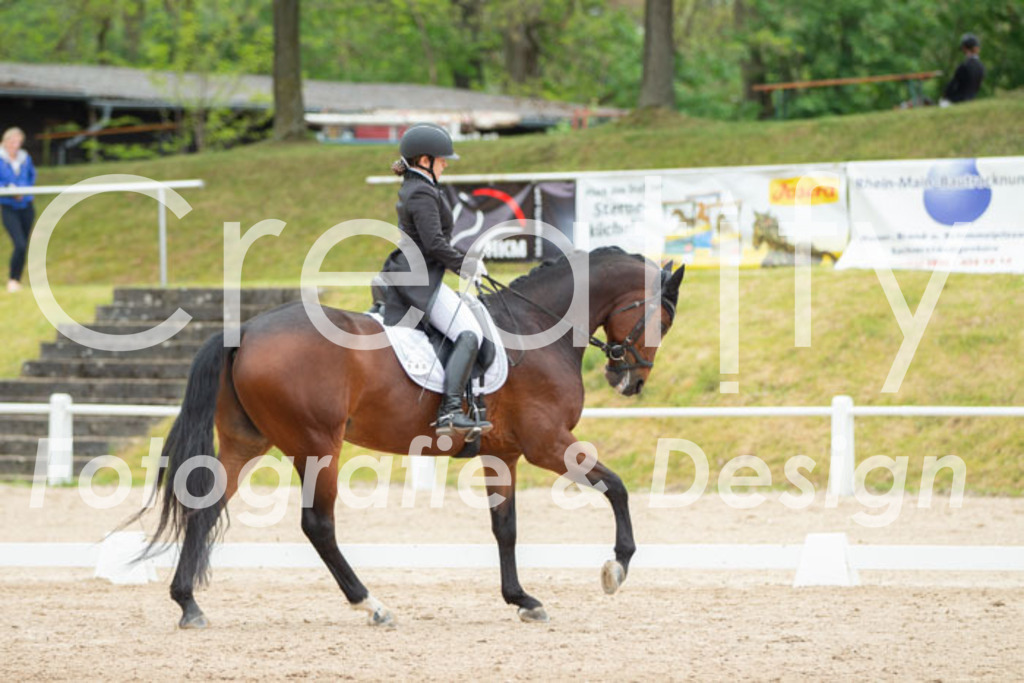 IMG_9834 | Creatify Fotografie