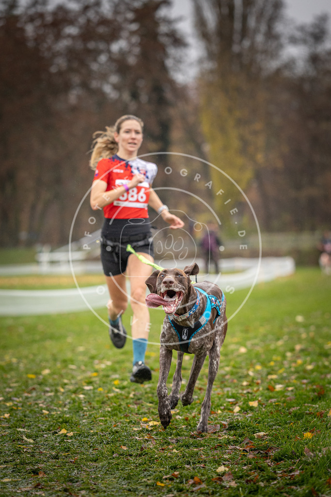 CaniXpix_DV3A8924 | Hundefotografie, Tierfotograf, Pfotenfotografie, Fotoshooting Hund, Hunde Portrait, Hundesport, Hundeportraits, Heideshooting, Hunde, Sportfotograf, Hundefotograf, Turnierhundsport, THS,  - Realisiert mit Pictrs.com