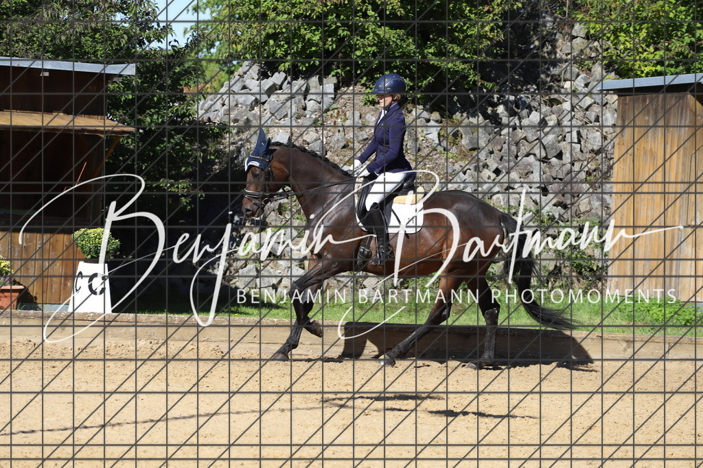 IMG_5386 | Benjamin Bartmann Photomoments