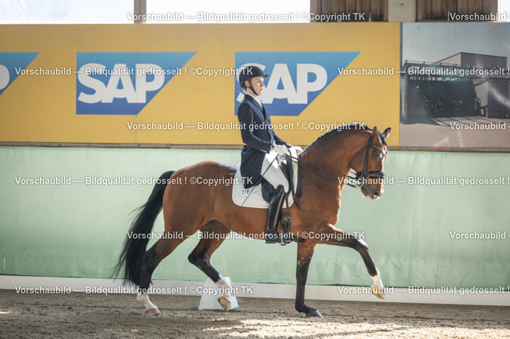 _D5A9738 | Emotionale Pferde- & People-Fotografie rund um Heidelberg, Leimen & Umgebung. Natürliche Fotos von Pferd, Mensch & Familie. Jetzt Termin sichern!