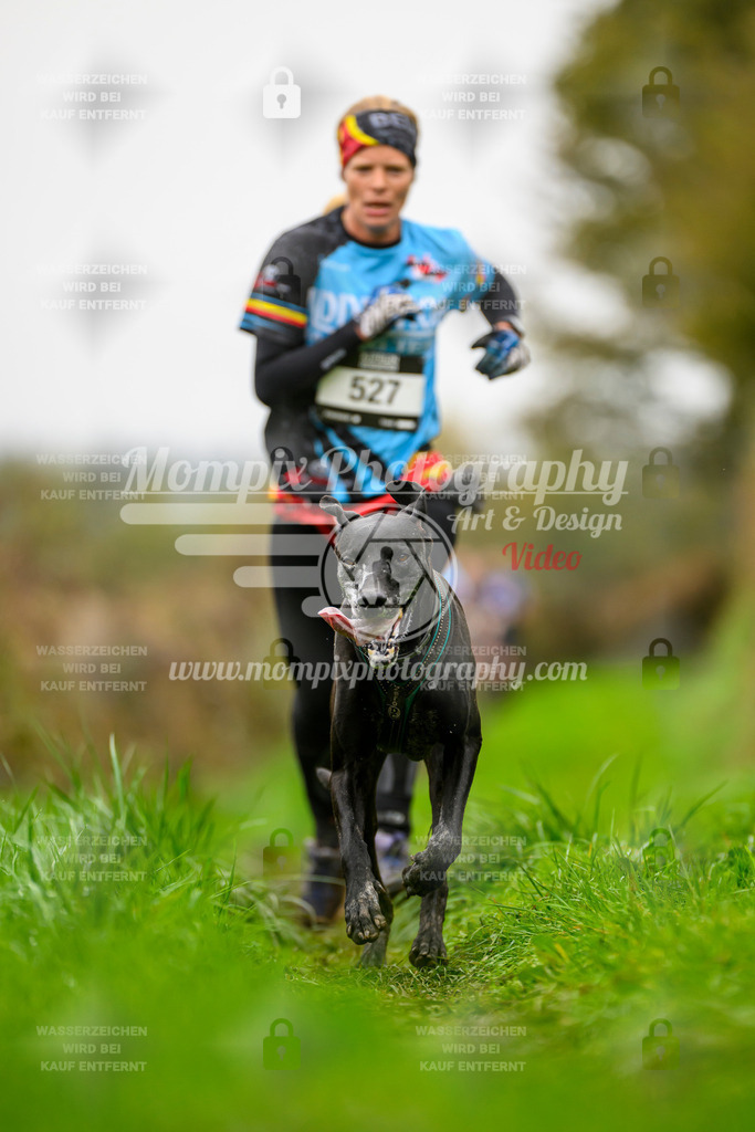 MompixPhotography_20TSB_E8_Run-93 | PayLife