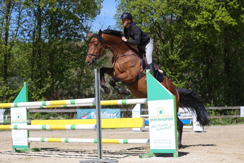 0P6A8154 | Willkommen bei Brunnmayr - Design & Fotografie – Ihrem Spezialisten für Reitturniere und Pferdeveranstaltungen in Oberösterreich, Salzburg und Bayern! Seit über 17 Jahren sind wir leidenschaftlich dabei.