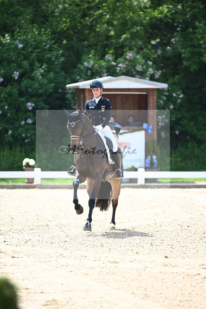 Hendricks_Drombusch OLD_12244069 | hf-fotografie - Realisiert mit Pictrs.com