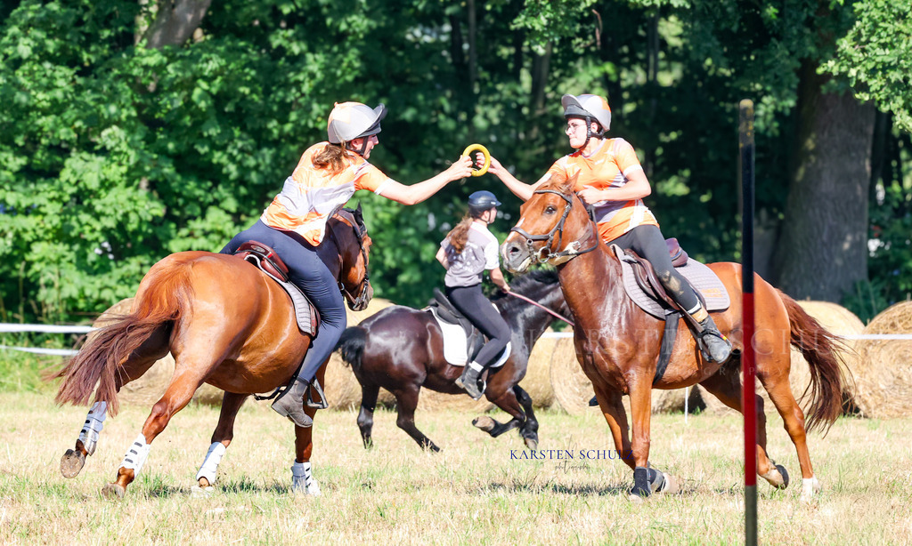 1B3A8288 | Reitsport Reiten