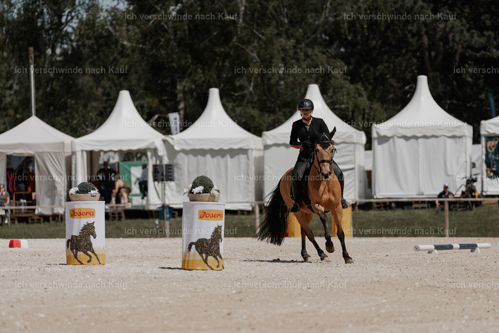 WE_ST_Stoib_319_PI2025_1276 | Pferd International München 2025