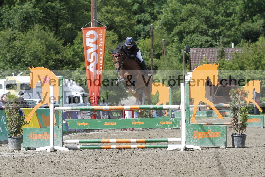 _MG_8641 | equestrian-live-com