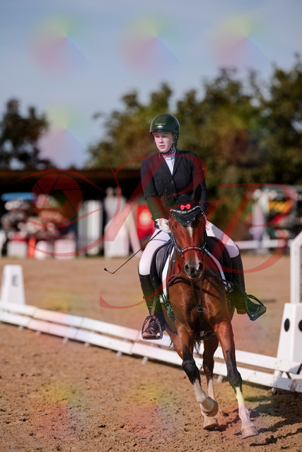 2026_10_03_Siefer-Hof_115754_Z81_99622104 | Professionelle Reitsport-, Turnier- und Eventfotografie von Robert Broda. Galerien mit ausgewählten und bearbeiteten Bildern direkt online ansehen und bestellen.