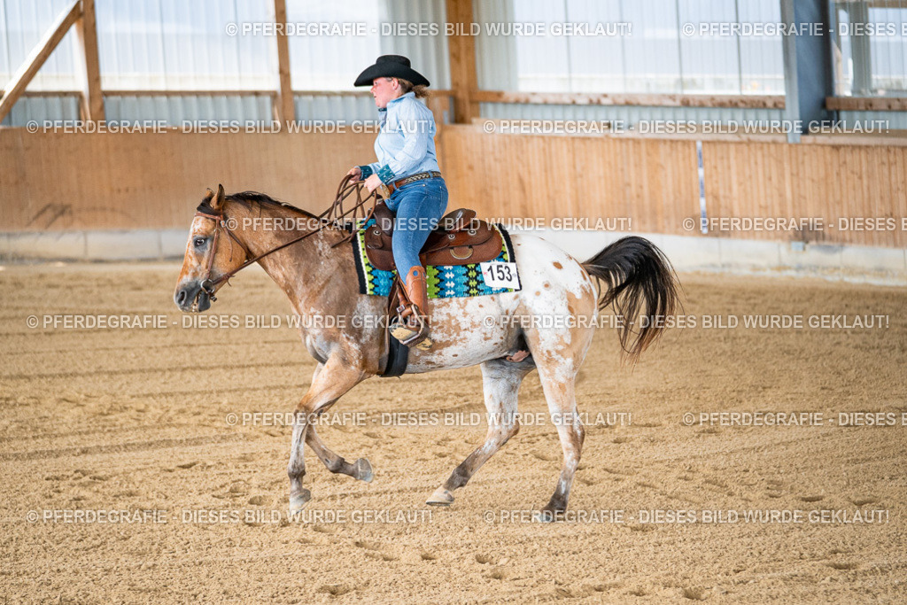 DSC02126 | Pferdegrafie