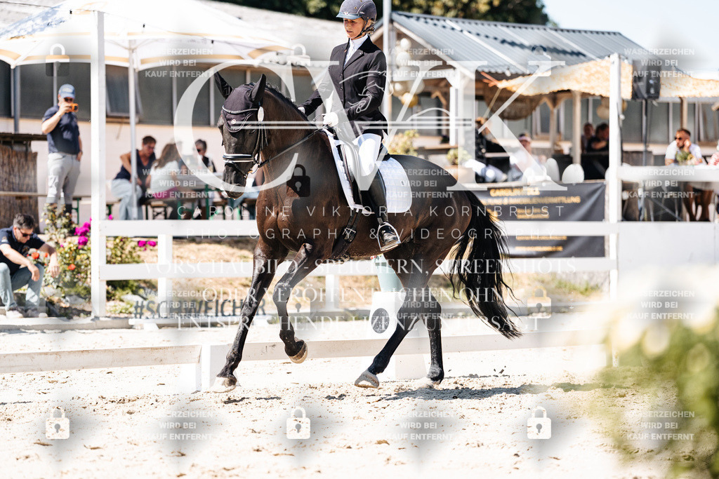 CK900171 | Turnierfotografie Pferdefotografie Trier Rheinland-Pfalz Pferdesport Reitsport Tierfotografie Sportfotografie Pferdevideo Pferdevideografie Equestrianvideography equestrianphotography  - Realisiert mit Pictrs.com