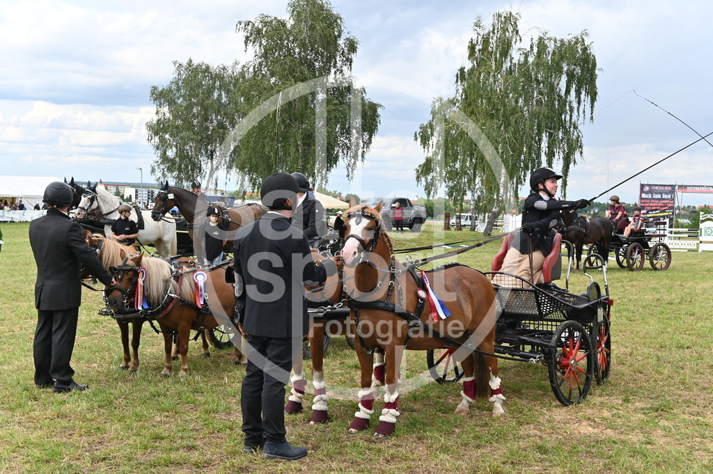 DSC_4584 | sattelsport - Realisiert mit Pictrs.com