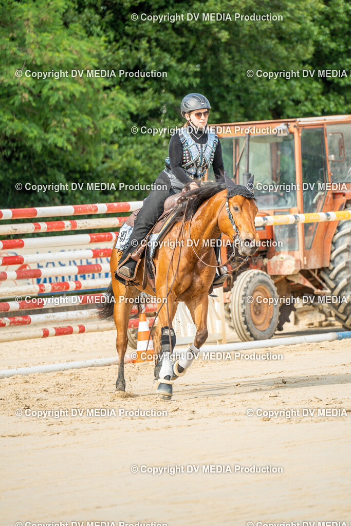 Zeiskam Tag 2-2157 | dv-media-shop - Realisiert mit Pictrs.com