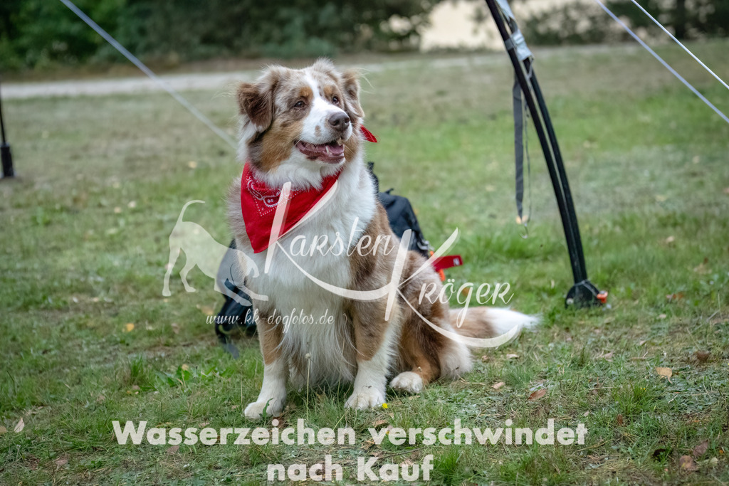 1612_ZZ94951-2-Bearbeitet | kk-dogfotos