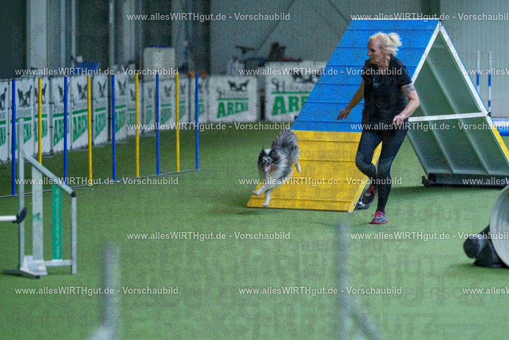 @allesWIRTHgut_Tierfotografie - www.allesWIRTHgut.de - 2604261458-7R504179 | Professionelle Tierfotografie in Mönchengladbach von Daniel Wirth (allesWIRTHgut). Liebevolle & natürliche Bilder von Hunden & Katzen für unvergessliche Erinnerungen.