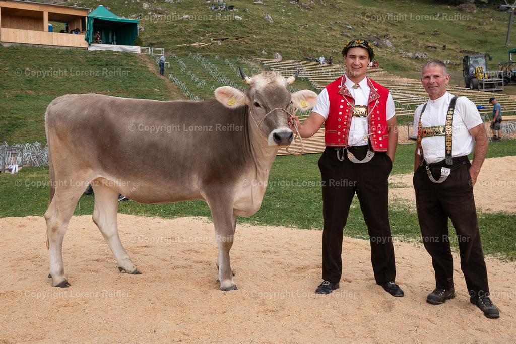 Schwingen -  Schwägalp Schwinget 2025 | Schwägalp, 17.8.25, Schwingen - Schwägalp Schwinget.