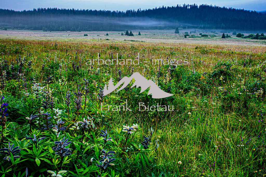 _Z5A4697 | Medien- Sport- Entertainmentfotos