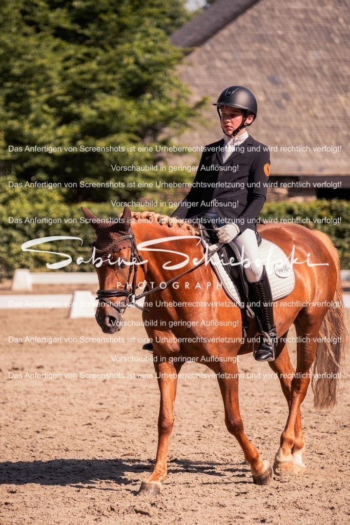 2025_05_31_DSCF2997 | People- und Tierfotografie, Imageaufnahmen, Veranstaltungsfotografie und Wandbilder aus der Natur ★ Made in Germany ✔️ Druck + Downloads ✔️ Naturfotografie in Top Qualität ★ schneller Versand, weltweite Lieferung! - Realisiert mit Pictrs.com