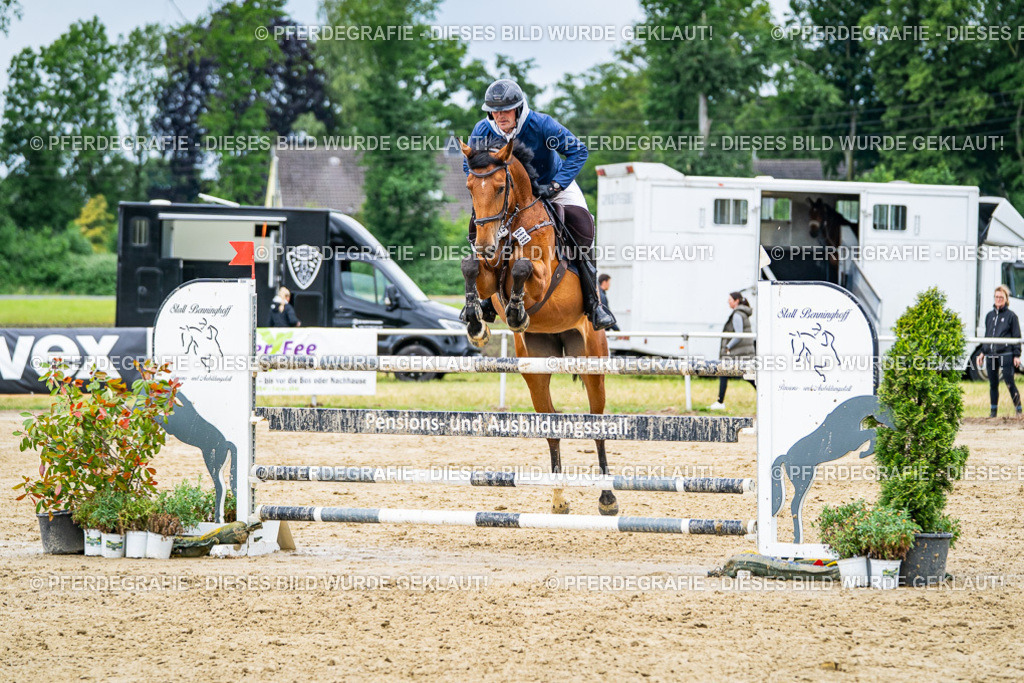 DSC04293 | Pferdegrafie