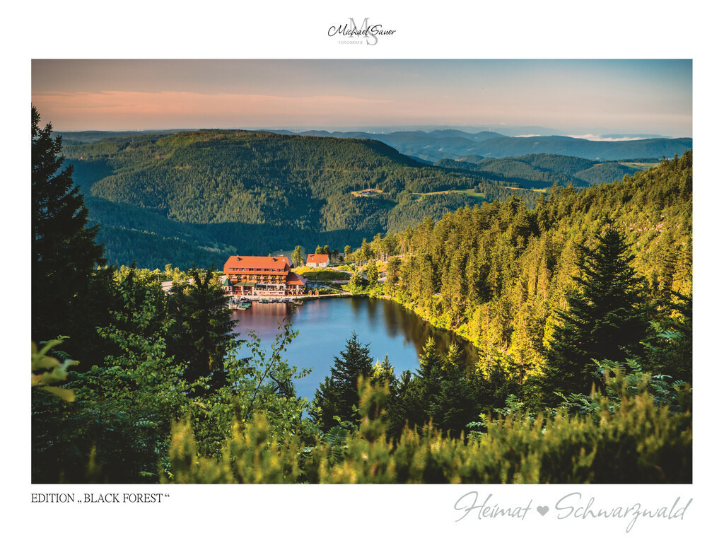 Edition "BLACK FOREST" | Motiv: Blick auf den Mummelsee, Nordschwarzwald. Die beliebtesten Fotografien aus dem Schwarzwald als signierte Sonderedition. Eine exklusive Wanddekoration für alle Liebhaber von traumhaften Schwarzwaldlandschaften. Hochwertige Wandbilder in brillanter Druckqualität auf Acrylglas, Alu-Dibond und Leinwand für Ihr Zuhause – inklusive rückseitige Aufhängung.
 - Realisiert mit Pictrs.com