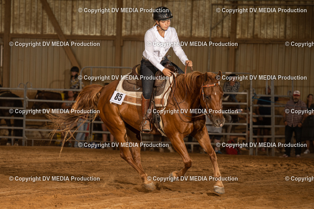 NID03897 | dv-media-shop - Realisiert mit Pictrs.com