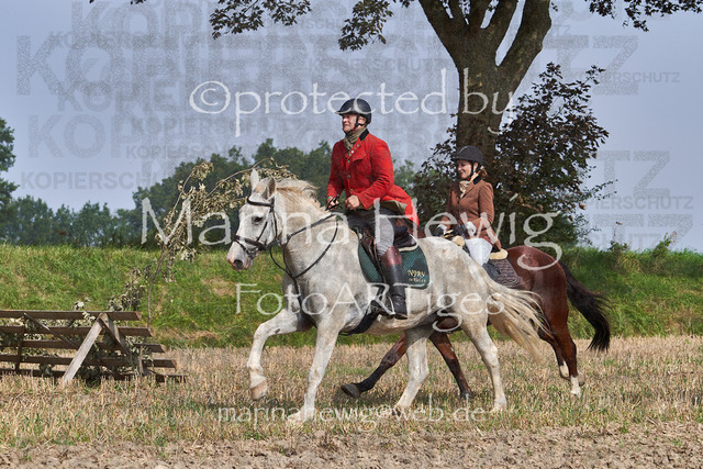 09-23 Jagd Perdöl_MCH0021_Marina Hewig | Fotografie, FotoArt, PferdesportArt, Pferdesportfotografie, Landschaftsfotografie, Reisefotografie, Reise, Pferde - Realisiert mit Pictrs.com