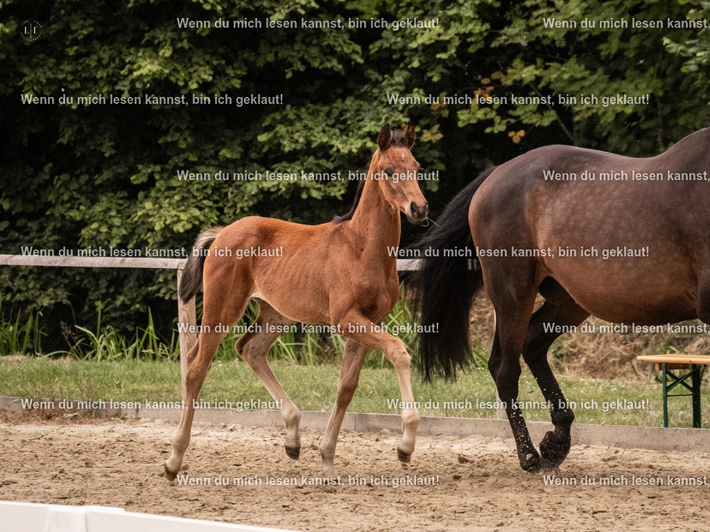 A10I6444 | photographylinaismer - Realisiert mit Pictrs.com