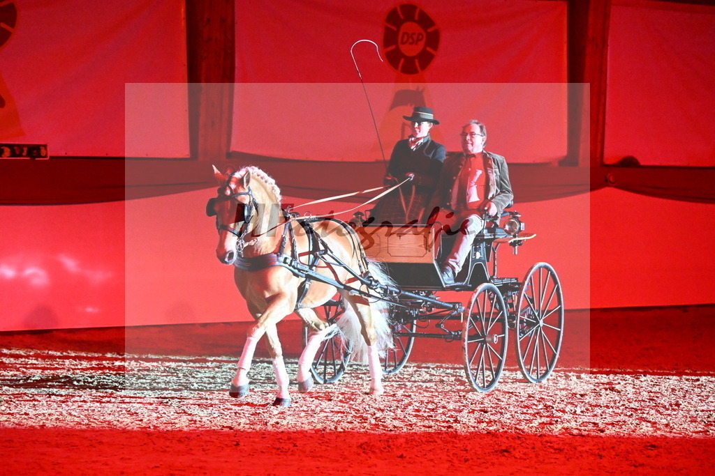 DSP Avici As_Karosser_Schwolow_2254852 | hf-fotografie - Realisiert mit Pictrs.com