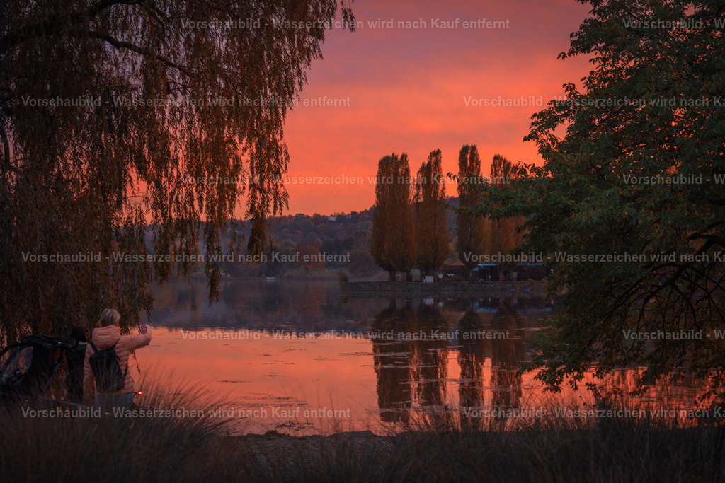 DSC05732 | marcuslinek