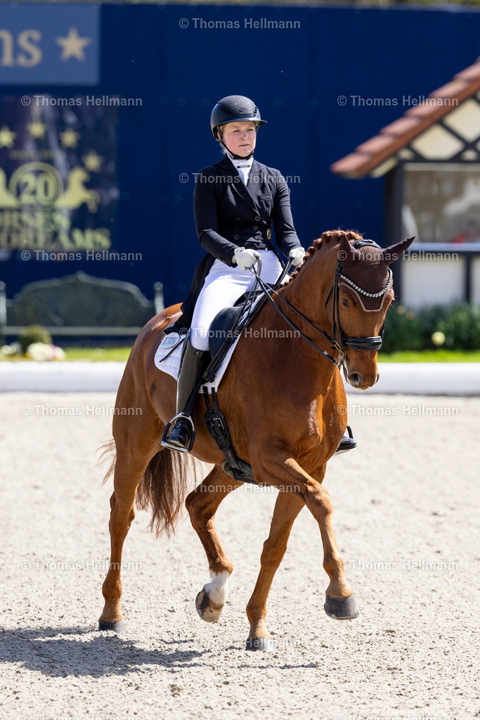 TH_305-HAASE Franziska (GER)_ ALISSIMO_36662 | Horses &amp; Dreams 2026 am 26.04.26 in Hagen a.T.W., Thomas Hellmann, 305HAASE Franziska (GER), ALISSIMO